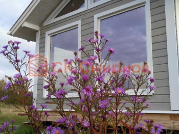 Фото №167: баня из бруса 33