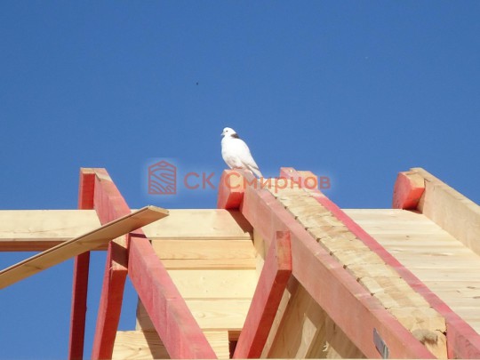 6х8 №194 фото 5